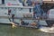 Newcastle, United Kingdom - October 5th, 2014 - UK border force officers boarding a RIB patrol boat alongside the border force cut