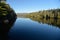 Newcomb Lake Reflection