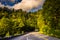 Newfound Gap Road, in Great Smoky Mountains National Park, Tennessee.