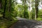 Newfound Gap Road near Carlos Campbell overlook in the Great Smoky Mountains NP