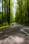 Newfound Gap Road near Carlos Campbell overlook in the Great Smoky Mountains NP