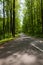 Newfound Gap Road near Carlos Campbell overlook in the Great Smoky Mountains NP