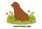 Newfoundland Dog Animals with Black, Brown or Landseer Color in Flat Style Cute Cartoon Template Hand Drawn Illustration