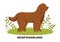 Newfoundland Dog Animals with Black, Brown or Landseer Color in Flat Style Cute Cartoon Template Hand Drawn Illustration