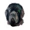 Newfoundland dog with big muzzle watercolor portrait, poster with text. Digital art of purebred canine origitated from Canada and