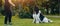 Newfoundland dog plays with man and woman