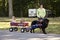 Newfoundland Draft Dog Giving A Wagon Ride.