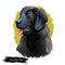 Newfoundland puppy purebred of large size digital art