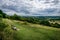 Newlands Corner bench