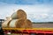 Newly baled round hay bales are loaded onto a truck trailer for transporting