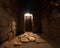 newly discovered Pharaoh\\\'s tomb contains an ancient relic.