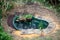 A newly installed garden pond showing preformed pond and fresh earth and sand around with paving slabs