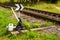 Newly painted hand-operated railroad switch with point indicator