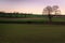 The newly planted fields begin to see corn grow at sunset