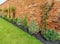 Newly planted shrubs and plants against a red brick wall