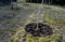 Newly planted trees in the park have stil protection against the wind and vandalism bowl watering them mulched with wood chips  pl