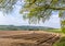 Newly ploughed field over hanging trees