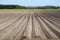 Newly ploughed rows