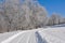 A newly plowed driveway after a winter ice storm.