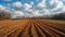 Newly plowed field ready for planting with visible furrows stretching across the land