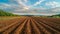 Newly plowed field with visible furrows ready for planting in a picturesque landscape