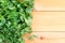 Newly washed fresh Italian parsley on a table