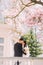 Newlywed bride and groom kissing under blossoming magnolia tree. Vintage villa at background