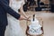 Newlywed couple cutting cake at wedding reception, bride and groom slicing delicious white cake decorated with funny figures of