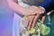 The newlywed couple is holding a beautiful wedding bouquet. Classical wedding photography, symbolizing unity, love and the creati