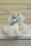 Newlyweds bears. toy for children