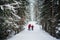 Newlyweds go skiing on a cool winter day in the woods and give each other support