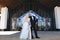 Newlyweds kiss under a veil on background willow