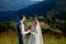 Newlyweds smile and hug each other among the meadow on top of the mountain. Wedding walk in the woods in the mountains, the gentle