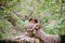 Newlyweds is tenderly hugging on a plaid in the forest. The bride and groom sits on the log in nature. Autumn wedding