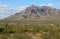 Newman Peak - Picacho Mountains