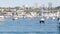 Newport beach harbor, weekend marina resort with yachts and sailboats, Pacific Coast, California, USA. Waterfront luxury suburb