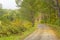 Newport Claremont Rail Trail in Newport, New Hampshire in autumn