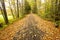 Newport Claremont Rail Trail in Newport, New Hampshire in autumn