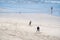 Newport, Oregon - August: Father and son playing catch on the beach in Newport Oregon in the summer