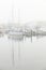The Newport Oregon marina on a foggy morning.