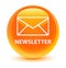 Newsletter glassy orange round button