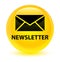 Newsletter glassy yellow round button