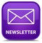 Newsletter special purple square button