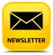 Newsletter special yellow square button