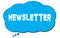 NEWSLETTER text written on a blue thought bubble