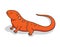 Newt Cartoon Salamander Animals Illustration