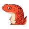 A Newt, isolated vector illustration. Cute cartoon picture of a sparkling salamander. A sea creature sticker.