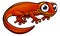 Newt or Salamander Cartoon Character