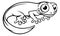 Newt or Salamander Cartoon Character