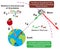 Newton universal law of gravitation infographic diagram physics science